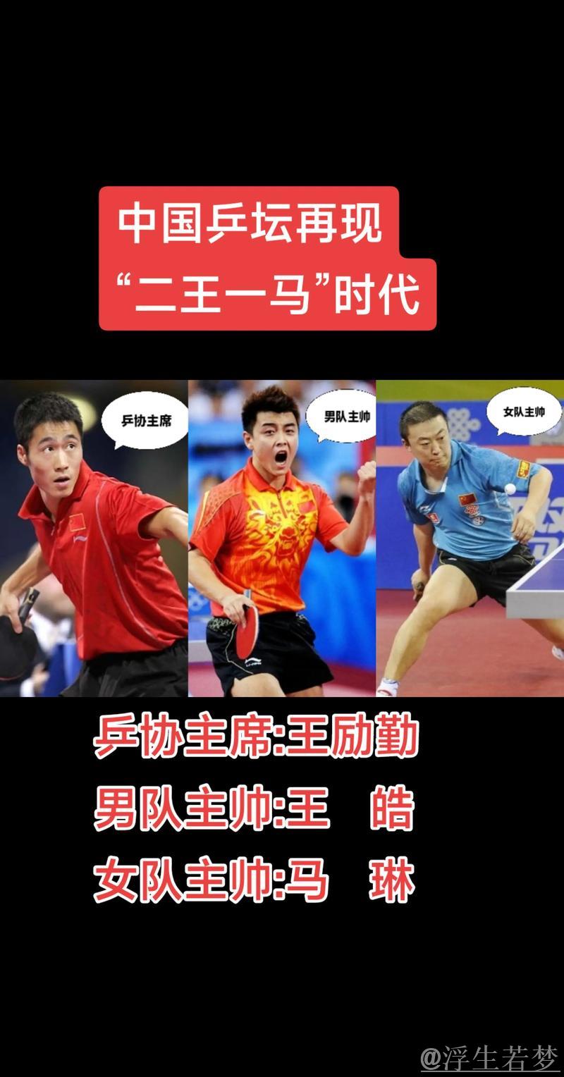 国乒的二王一马时代，王励勤与马琳的精彩对决瞬间，看得真是太过瘾了！